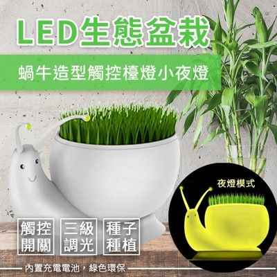 LED生態盆栽 蝸牛造型觸控燈