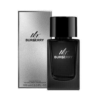 BURBERRY Mr. BURBERRY 男性淡香精 100ml (New)