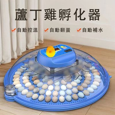 現貨 全自動孵化機 小飛碟孵化器 小型家用全自動孵蛋器 小飛碟8枚雙電 孵化箱
