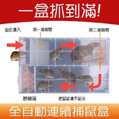 【居家寶盒】連續捕鼠盒 全自動連續捕鼠器 鼠洞式通道捕鼠籠 獨立誘餌區老鼠籠 滅鼠器