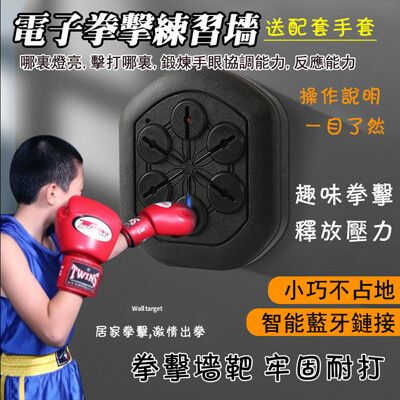 台灣現貨 音樂拳擊器 拳擊訓練機 壁掛式拳擊墻靶 智能拳擊機  拳擊沙袋 健身房 成人兒童健身訓練器