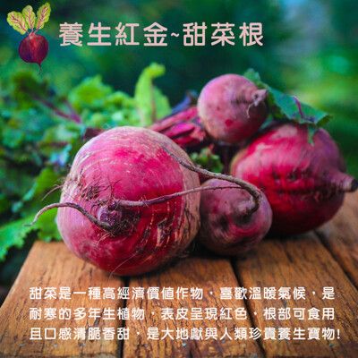 樸優樂活 養生紅寶甜菜根粉(350g/包)-多件組更優惠