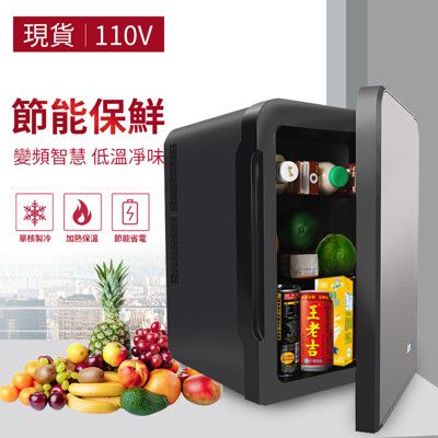 （家庭必備冰箱） 兩用款【10L迷你冰箱】110V家車冷暖用倆用冷熱迷你冰箱冷暖兩用