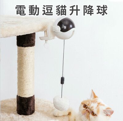 電動逗貓升降球 貓玩具 喵星人玩具 逗貓器