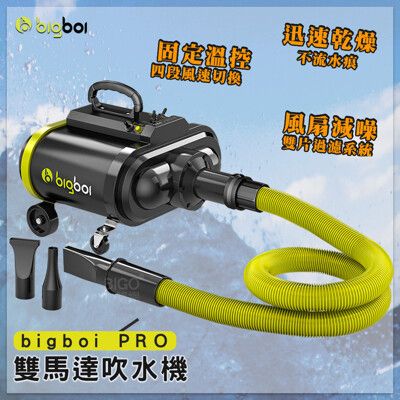 父親節首選 bigboi PRO 雙馬達吹水機 吹風機 車用吹水 汽車清潔 乾燥 不留水痕 汽車用品