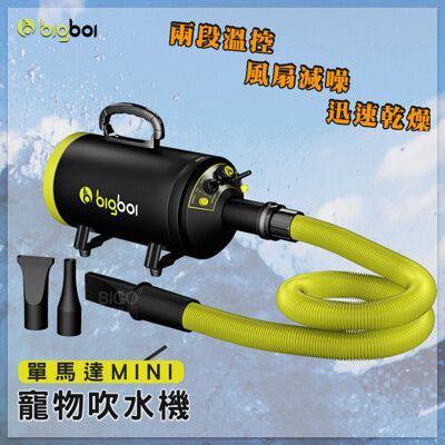 現貨熱銷 bigboi MINI 寵物單馬達吹水機  吹風機 乾燥吹風機 寵物美容 吹毛 寵物吹水