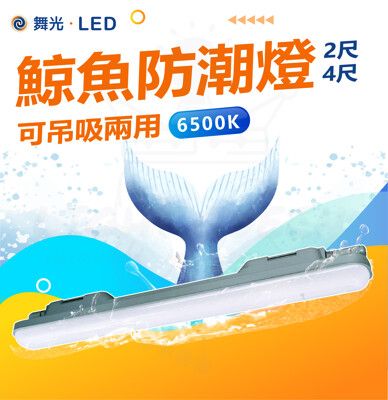 DanceLight 舞光 4尺 36W LED 鯨魚防潮燈 防潮燈座 IP66 吸吊兩用 最多可串