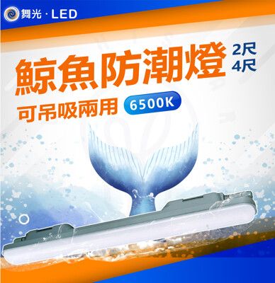 DanceLight 舞光 2尺 18W LED 鯨魚防潮燈 防潮燈座 IP66 吸吊兩用 最多可串