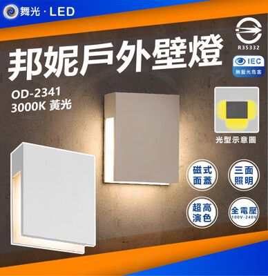 DanceLight 舞光 邦妮壁燈 4W LED 壁燈 內含防水驅動OD-2341 黃光 3000