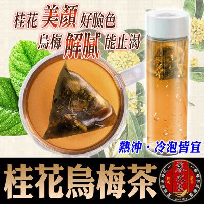 【蔘大王】 桂花烏梅茶 3D立體茶包（6g*10入）去油解膩不傷身 幫助消化助排便