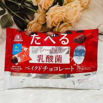 ☆潼漾小舖☆ 日本 MORINAGA 森永 乳酸菌 巧克力風味烤餅乾 約26粒