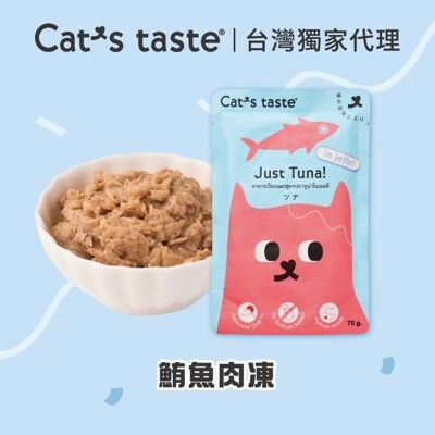 鮪魚肉凍 貓副餐包 寵物食品 貓濕食 貓軟包 貓副食