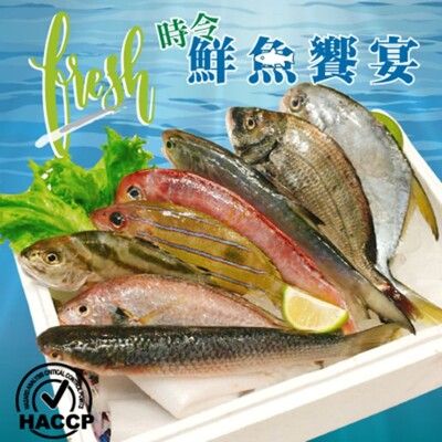 【頤珍宮膳】現撈時令鮮魚5件組