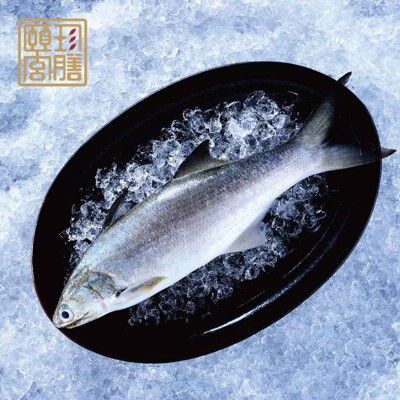 【頤珍宮膳】現流肥美午仔魚250g/份