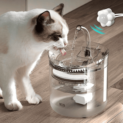 感應式寵物飲水機 感應款【178小舖】飲水機 飲水器 寵物飲水器 貓咪飲水機 寵物飲水機 貓飲水機
