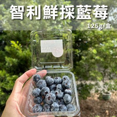 水果狼- 嚴選智利鮮採藍莓 125g±10% / 盒