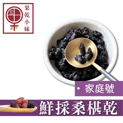 【果乾小弟】鮮採桑椹乾 家庭號 310g 果乾 桑椹