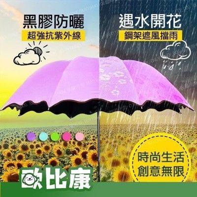 遇水開花摺疊傘 晴雨傘【歐比康】