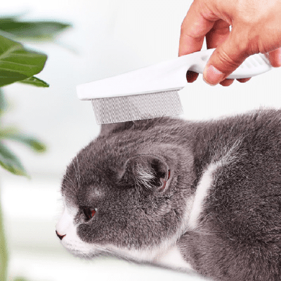 【貓狗通用😻】除蚤梳 寵物梳 跳蚤梳 寵物除蚤 寵物梳毛 梳毛 除蚤 寵物除蚤梳 密齒梳 貓狗除蚤