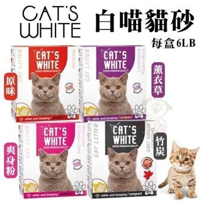 【單盒】CATS WHITE《白喵貓砂》6LB 膨潤土凝結貓砂(貓砂 礦物砂 膨潤土 凝結貓砂)