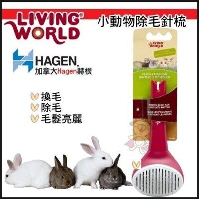 加拿大Hagen赫根《Living World小動物除毛針梳》換毛/除毛/毛髮亮麗