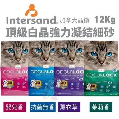 費-Intersand晶鑽頂級白晶強力凝結細砂12kg 無味/茉莉香/薰衣草/嬰兒味 貓砂＊