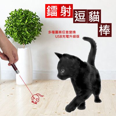 【禾統】鐳射逗貓棒 6種圖案7種模式 貓貓最愛USB充電逗貓棒