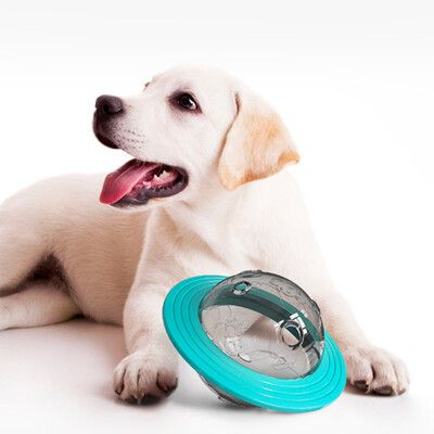 【P&H寵物家】狗狗不倒翁漏食餵食器 飛盤玩具(磨牙玩具 漏食玩具 寵物玩具 狗狗玩具 )