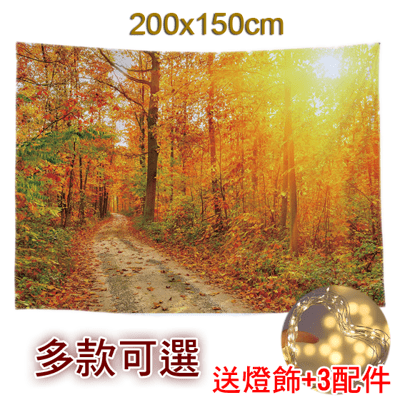 送3米燈【門簾工房】掛布 200x150cm 掛毯 掛畫 拍照背景布 野餐巾 拍攝布景 牆壁窗簾裝飾