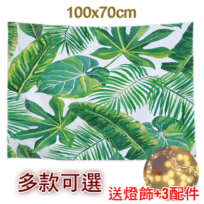 送3米燈【門簾工房】掛布 100x70cm 冷氣孔裝飾 掛毯 掛畫 拍照直播背景布 窗簾