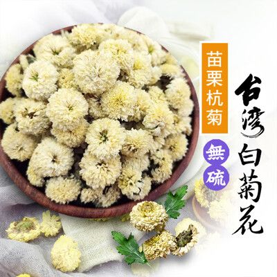 菊花 苗栗銅鑼杭白菊 60克 菊花茶 杭菊 台灣白菊 檢驗合格 無毒 無添加 新鮮 沐光茶旅