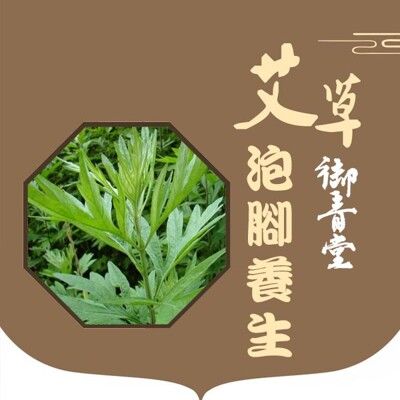 【御青堂】野生艾草/乾艾葉/泡腳/泡澡/洗淨/平安草大包裝家庭號(600g)