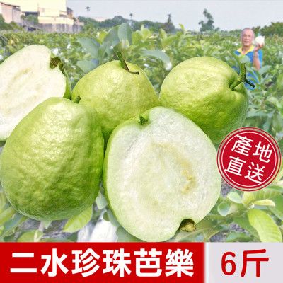 【阿旺芭樂】二水產直送-濁水溪珍珠芭樂禮盒(6台斤/箱)