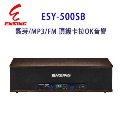 ENSING 燕聲 ESY-500SB 藍芽/MP3/FM 頂級卡拉OK音響/擴音機/喇叭
