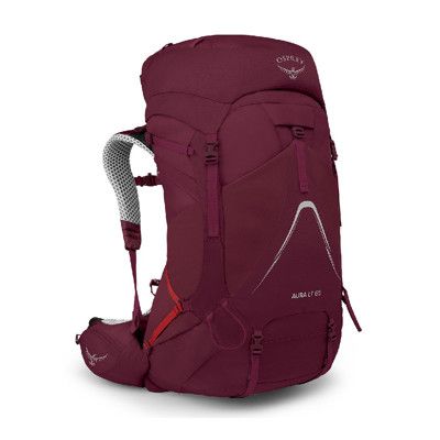 OSPREY 美國 Aura AG LT 65 登山背包《解藥紫M/L》65L自助旅行/雙肩背包/行