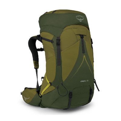 OSPREY 美國 Atmos AG LT 65 登山背包《胡椒綠L/XL》68L自助旅行/雙肩背包