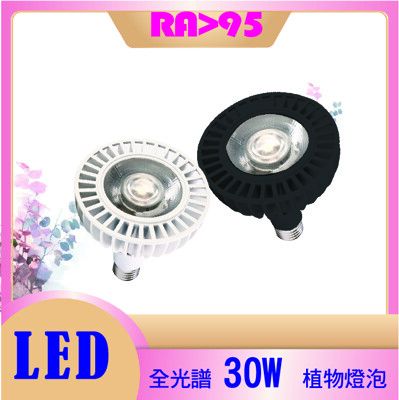 PAR植物全光譜燈泡30W 舒適光 太陽光 多肉植物RA 95