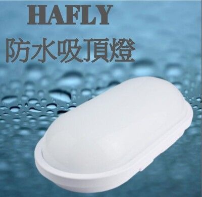 HAFLY 15W LED 戶外防水膠囊 壁燈 黃光 吸頂燈 IP66 全電壓 PC材質 防水驅動器