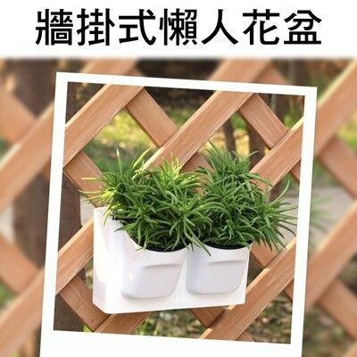 【JLS】自動吸水 加厚植物牆懶人花盆 壁掛花盆 牆掛花盆