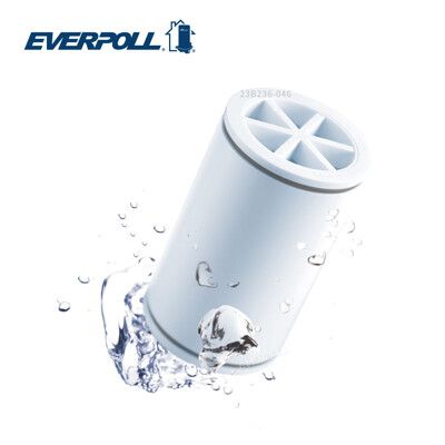 EVERPOLL MKC濾芯 MK-802 MK-809 微分子專用濾心 沐浴器 活水器