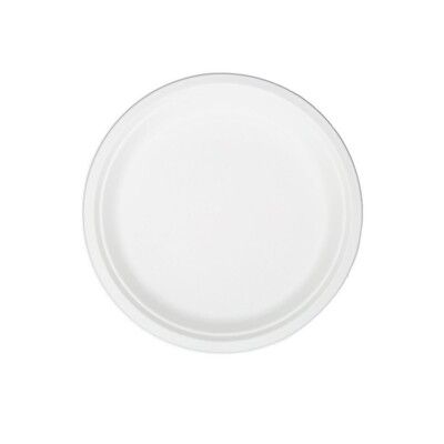 【現貨】免洗盤 紙盤 9吋漿塑盤(48入) 盤子 餐盤 紙餐盤 微波盤 免洗餐具 烤肉 柚柚的店
