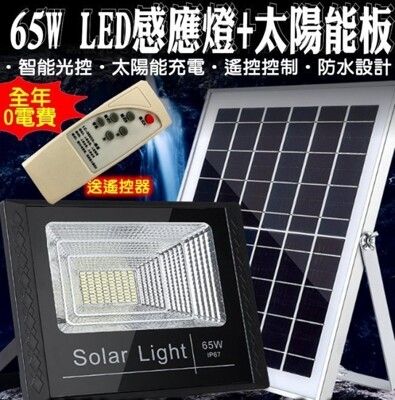 27119-256-柚柚的店【65W感應燈LED+太陽能板】智能光控防水 光控感應 智能太陽燈