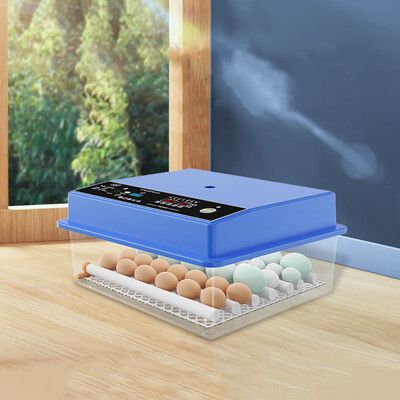 現貨 小型家用雞蛋孵化機 智能全自動孵蛋器 孵化箱 孵化器 24枚