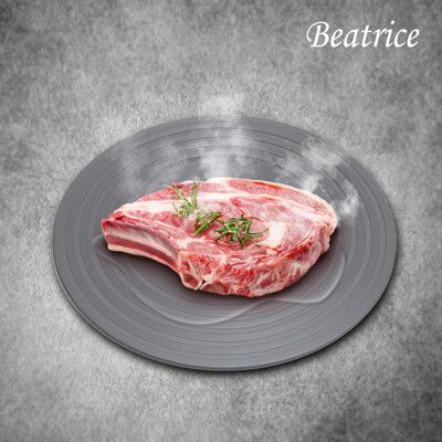 【Beatrice碧翠絲】多功能節能解凍導熱板 24cm(解凍板/節能盤/爐架/烤盤)