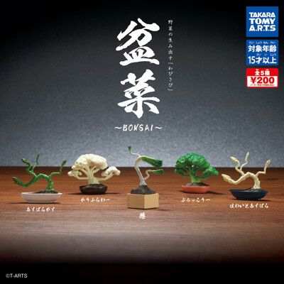 全套5款 盆菜 扭蛋 轉蛋 植物 蔬菜 青菜 迷你盆栽 迷你花椰菜 迷你白蘆筍【067600】