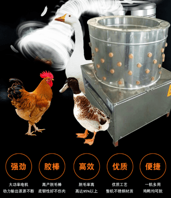 拔毛機 家禽拔毛機 圓筒雞鴨打毛機 不鏽鋼拔毛機 全自動家禽脫毛機 80CM口徑