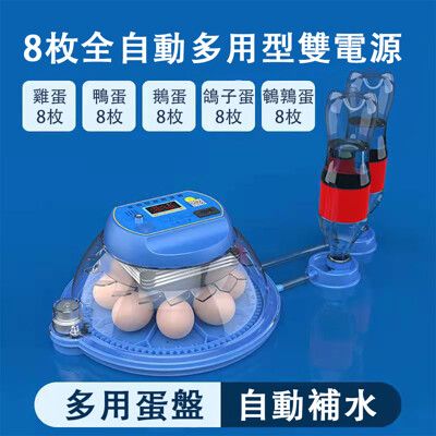 24H現貨 孵化機 小型家用雞蛋孵化機 鴨蛋孵化機 智能全自動孵蛋器 孵化箱 孵化器