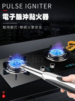 煤氣電子脈沖點火器