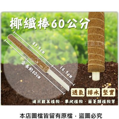 椰纖棒 60公分(可串接式)(塑膠中柱防霉)攀爬類植物.水苔棒.椰纖柱.椰棒