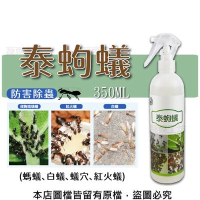 泰蚼蟻350ML (螞蟻、白蟻、蟻穴、紅火蟻)